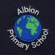 Albion Primary School