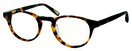 03 Classic Tortoise