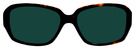 02 Tortoise Dark