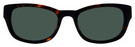 02 Tortoise Dark