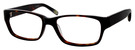 02 Tortoise Dark