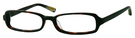 02 Tortoise Dark