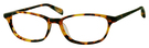 03 Tortoise Classic