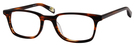10 Dark Brown