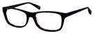 02 Tortoise Dark