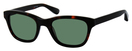 02 Tortoise dark