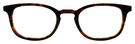 02 Tortoise Dark