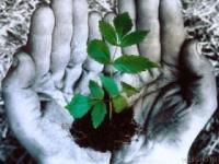 Grow your Opportunities