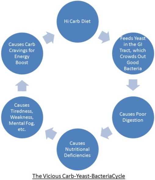 IBS Carb Vicious Cycle