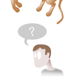 A Mountain Lion Floating Over a Liar