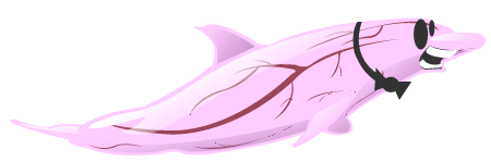 Skinless dolphin