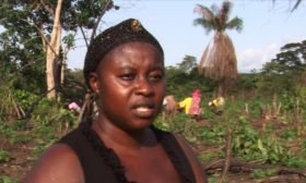 Be sure to add the alt. text