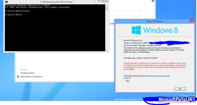 win9build9319