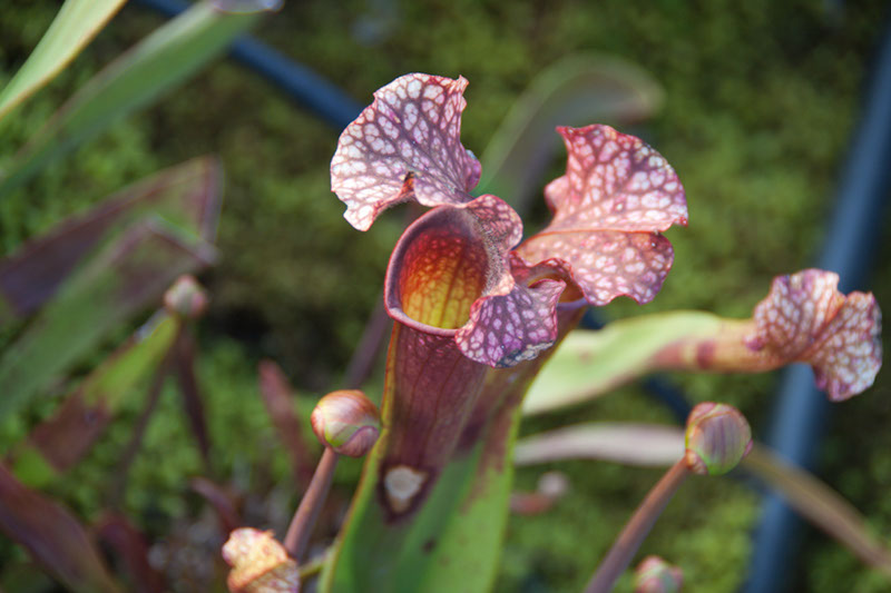 Cox_20110518_0053