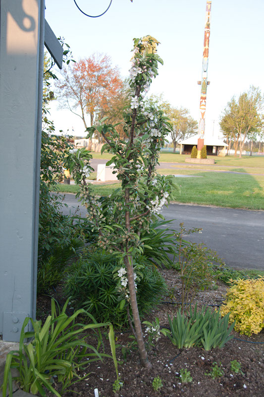 Cox_20110518_0076