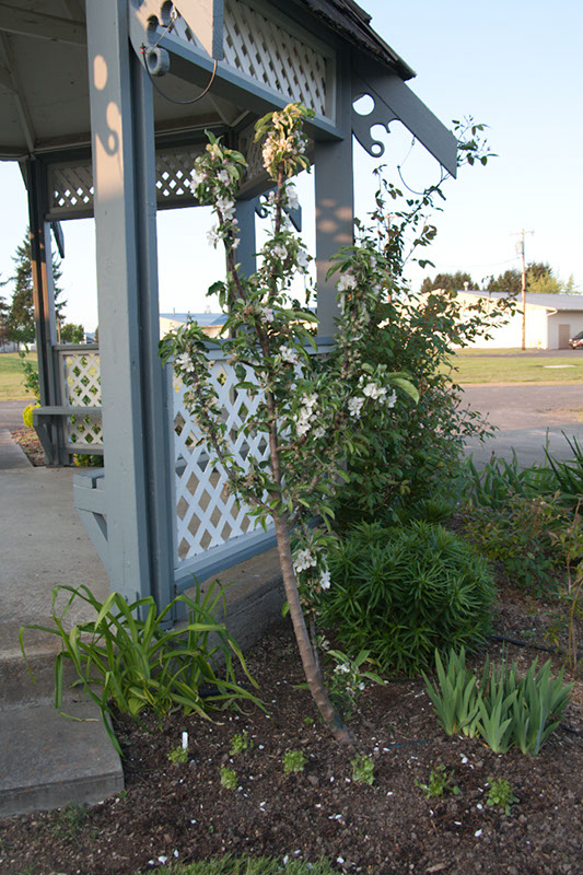 Cox_20110518_0072