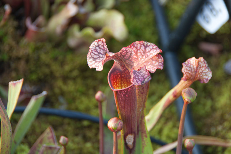 Cox_20110518_0049