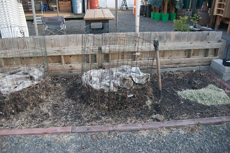 Cox_20110518_0027