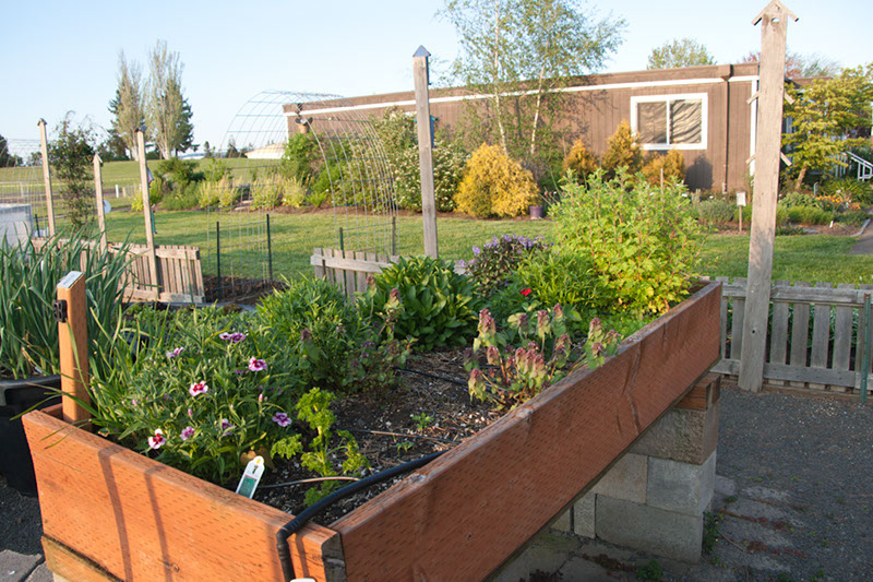 Cox_20110518_0035