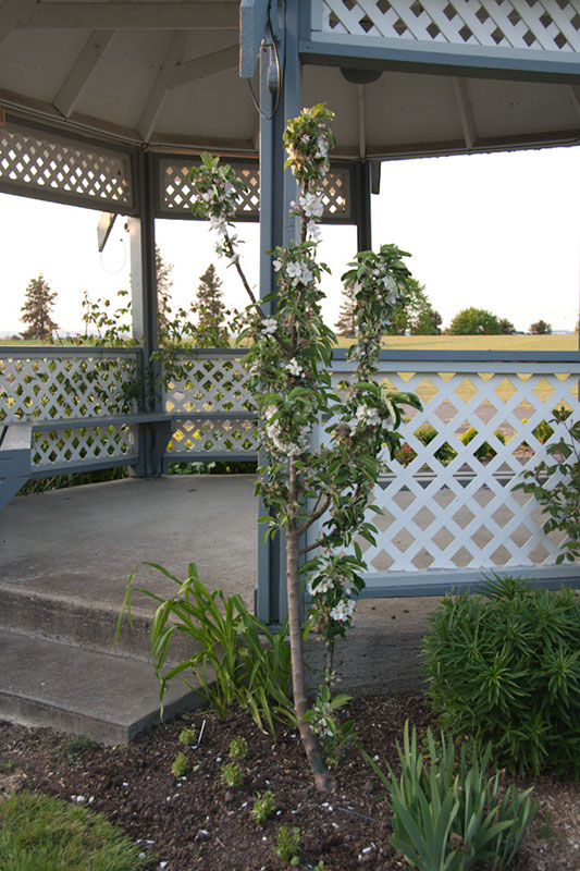 Cox_20110518_0074
