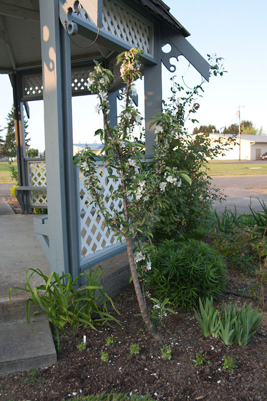 Cox_20110518_0071