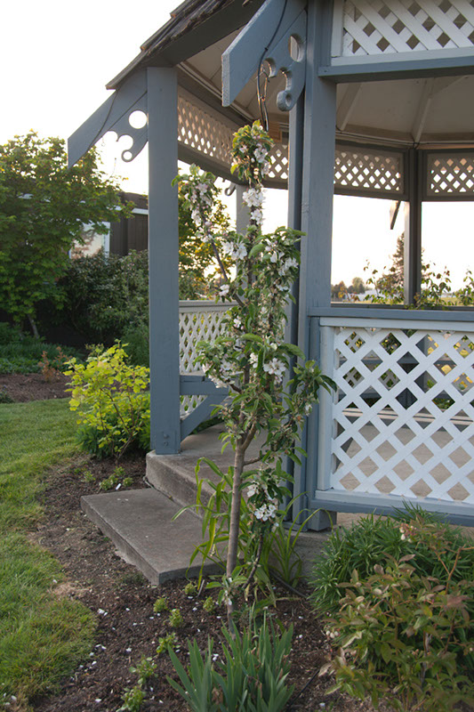 Cox_20110518_0075
