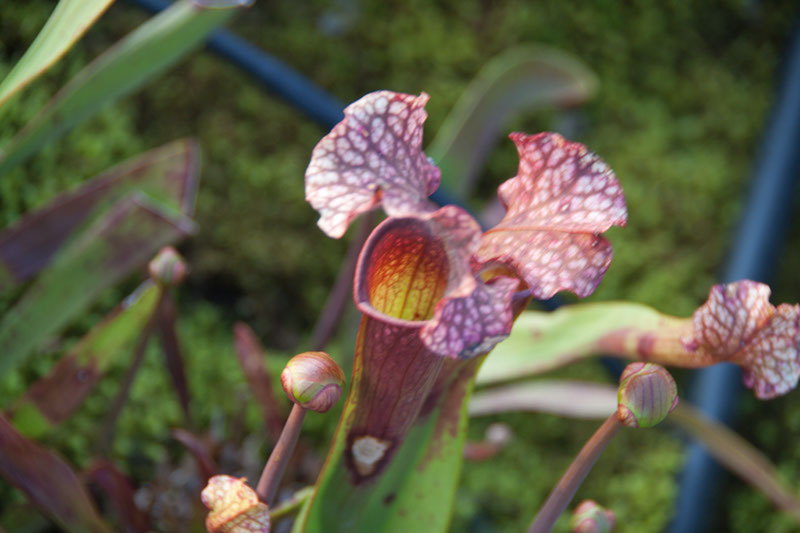 Cox_20110518_0051