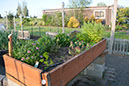 Cox_20110518_0036