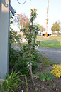 Cox_20110518_0076