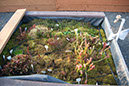 Cox_20110518_0046