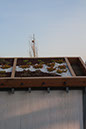 Cox_20110518_0014