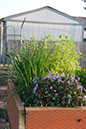 Cox_20110518_0044
