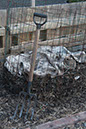 Cox_20110518_0031