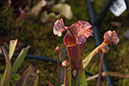 Cox_20110518_0047