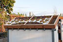 Cox_20110518_0005