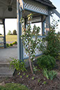 Cox_20110518_0073
