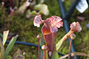 Cox_20110518_0049