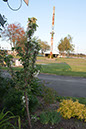 Cox_20110518_0077