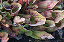 Cox_20110518_0055