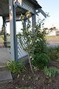 Cox_20110518_0071