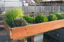 Cox_20110518_0042