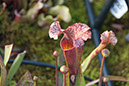 Cox_20110518_0050