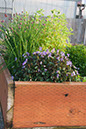Cox_20110518_0043
