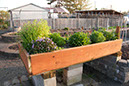 Cox_20110518_0041