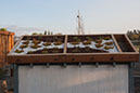 Cox_20110518_0019