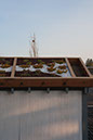 Cox_20110518_0017