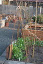 Cox_20110518_0068