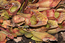 Cox_20110518_0058
