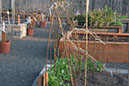 Cox_20110518_0062