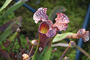 Cox_20110518_0052